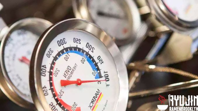 How to Use an Oven Thermometer (Why We Need One?)